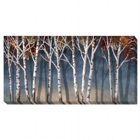 Obra de arte en lienzo Birch Shadows 2448340G de Artistic Home Gallery - 24 pulgadas.