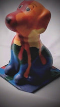 Rainbow Pets Dog - Boxed In